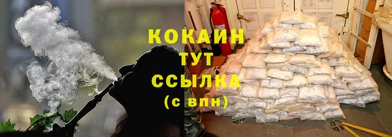 Cocaine Fish Scale  где продают   Котельниково 